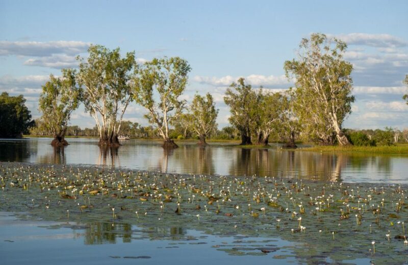 Darwin: Kakadu National Park Day Trip - What Are the Downsides?