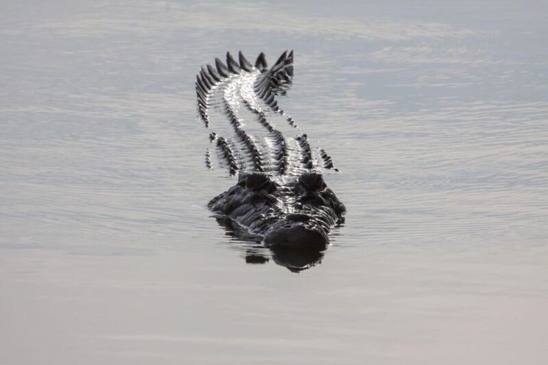 Darwin: Kakadu National Park Day Trip - Frequently Asked Questions