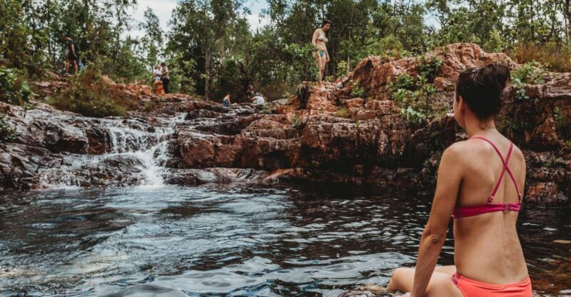 Darwin: Litchfield Day Tour and Private Crocodile Cruise - Key Points