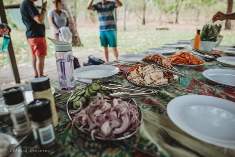 Darwin: Litchfield Day Tour and Private Crocodile Cruise - An In-Depth Look at the Tour Experience