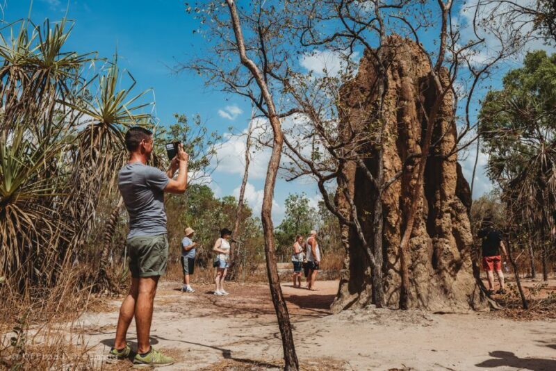 Darwin: Litchfield Day Tour and Private Crocodile Cruise - FAQ