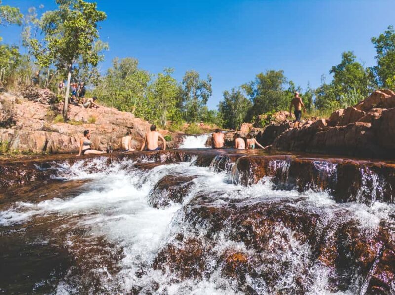 Darwin: Litchfield National Park Waterfalls & Wildlife Tour - The Itinerary in Detail