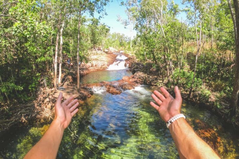 Darwin: Litchfield National Park Waterfalls & Wildlife Tour - What Makes This Tour Stand Out