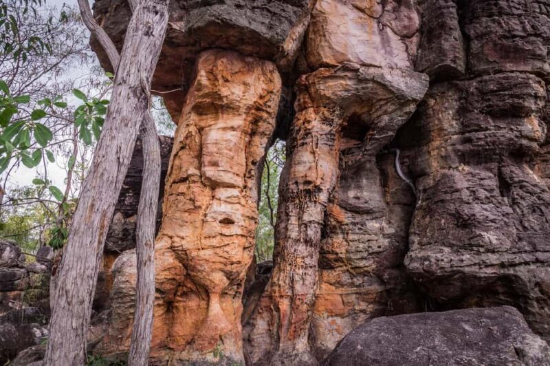 Darwin: Litchfield Park Sub-Tropical Escape - A Private tour - An Honest Breakdown of the Experience