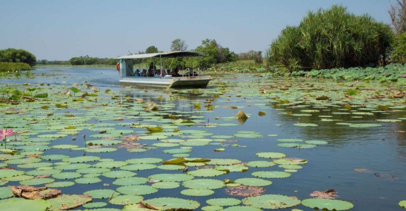 Darwin: Mary River Wetlands Wildlife Cruise with Lunch - Who Is This Tour Best For?