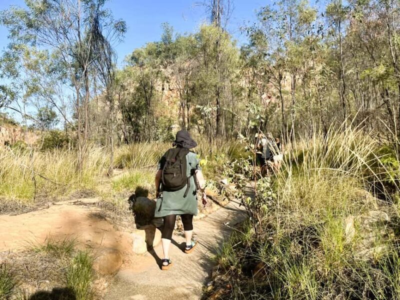 Darwin: Nitmiluk National Park Tour & Katherine Gorge Cruise - The Real Value of This Tour