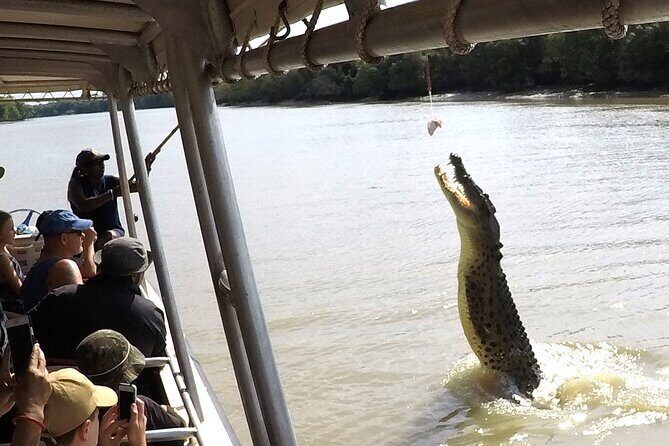 Darwin: Pathfinder Original Jumping Crocodile Cruise - The Real Deal: What Makes It Stand Out