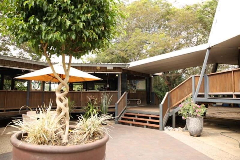 Darwin: Pathfinder Original Jumping Crocodile Cruise - The Experience of Watching Crocodiles Leap