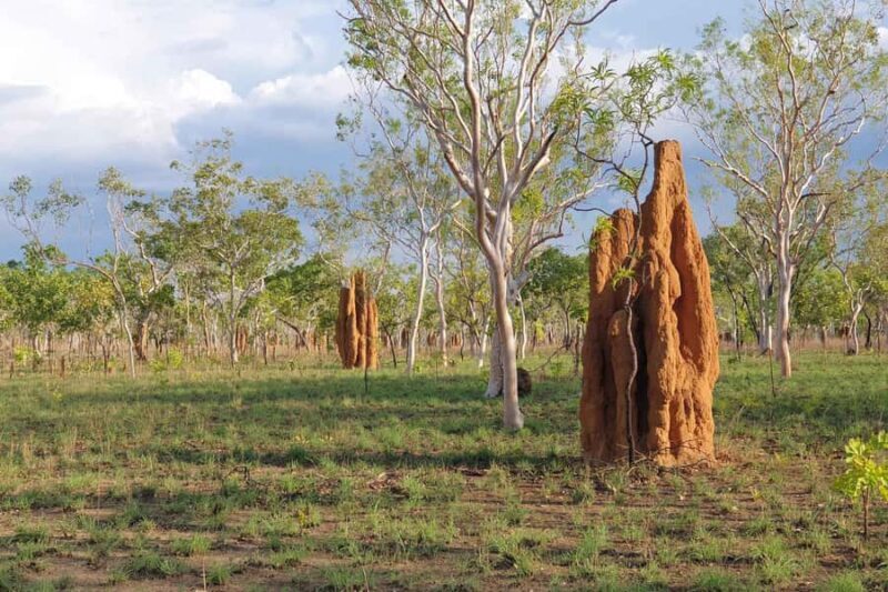 Darwin: Premium Litchfield Regional Small Group Day Tour - Frequently Asked Questions