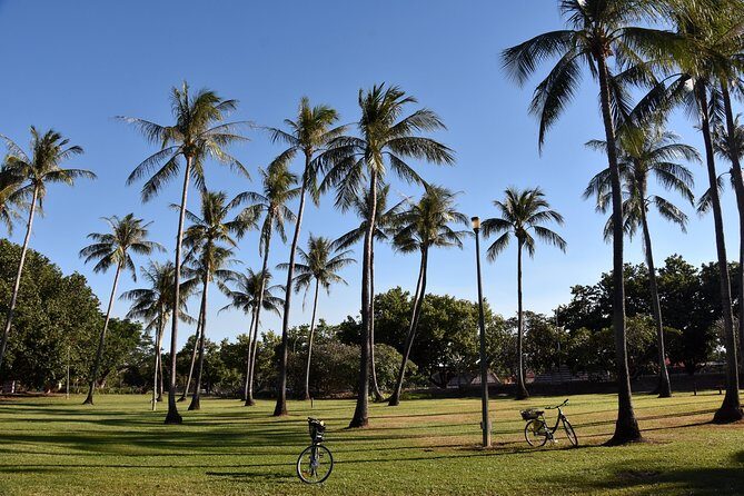 Darwin Shore Excursion: Hop-on Hop-off Bus Tour - Practical Tips for Making the Most of Your Tour