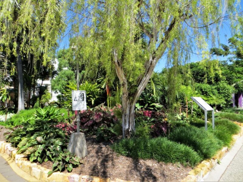Darwin: Small Group 2-Hour Heritage Walk - FAQs