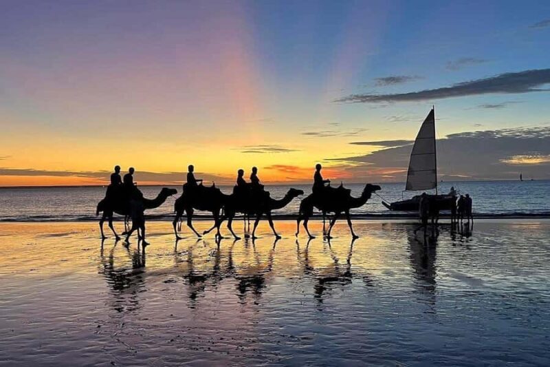 Darwin: Sunset Camel Ride along Mindil Beach - Key Points