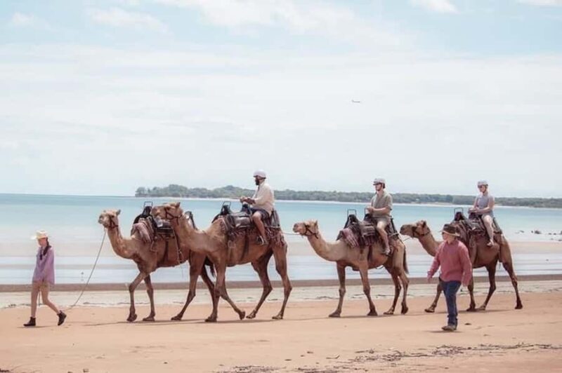 Darwin: Sunset Camel Ride along Mindil Beach - An In-Depth Look at the Sunset Camel Ride Experience