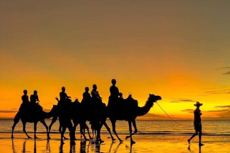 Darwin: Sunset Camel Ride along Mindil Beach - What We Loved About the Experience