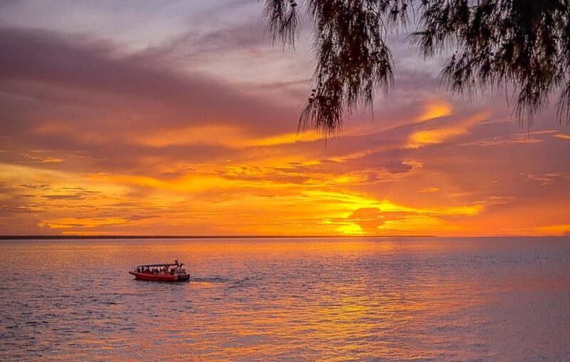 Darwin: Sunset Harbour Cruise with Fish and Chips Dinner - A Relaxed and Scenic Harbour Experience