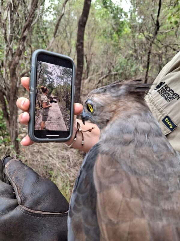 Darwin: Territory Wildlife Park Entry Ticket - Exploring the Territory Wildlife Park: What’s Included?