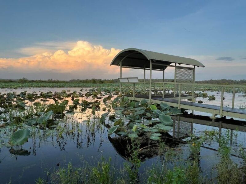 Darwin: The Croc Bus to the Famous Jumping Crocodile Cruise - Who Will Love This Tour?