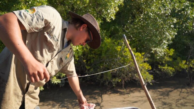Darwin: The Croc Bus to the Famous Jumping Crocodile Cruise - FAQs