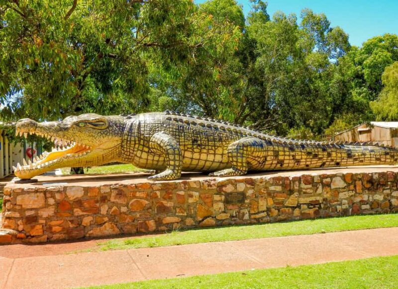 Darwin to Cairns: Kakadu & Gulf Savannah 11 Day Tour - What Makes This Tour Stand Out