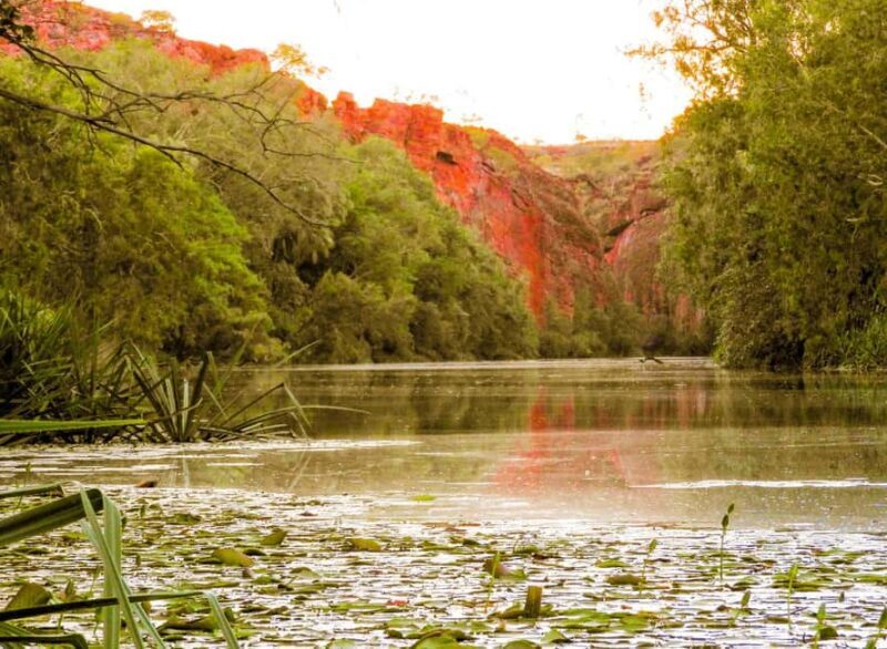 Darwin to Cairns: Kakadu & Gulf Savannah 11 Day Tour - Who Should Consider This Tour?