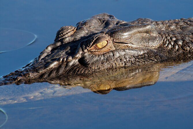 Darwin to Kakadu Day Trip by Air Including Yellow Water Cruise - Yellow Water River Cruise