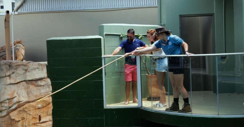 Darwin: VIP Crocosaurus Cove Experience - Authentic Insights from Reviews