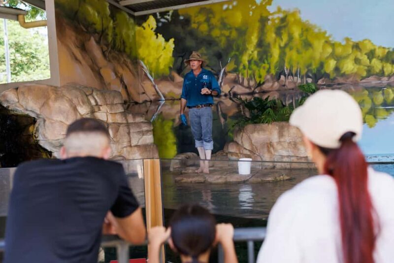 Darwin: Whipray Encounter with Entry to Crocosaurus Cove - Key Points