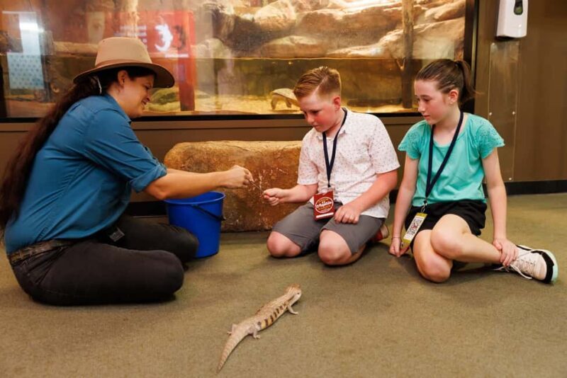 Darwin: Whipray Encounter with Entry to Crocosaurus Cove - Practical Tips for Visitors