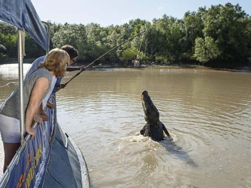 Darwin6 Day Darwin Tour Package - Exploring the 6-Day Darwin Tour Package: A Balance of Wilderness and Culture