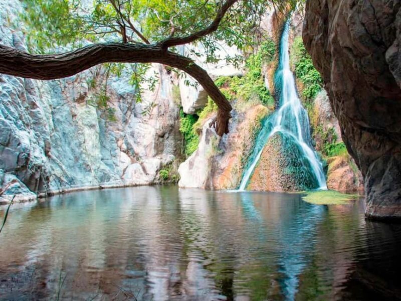 Darwin6 Day Darwin Tour Package - Who Should Consider This Experience?
