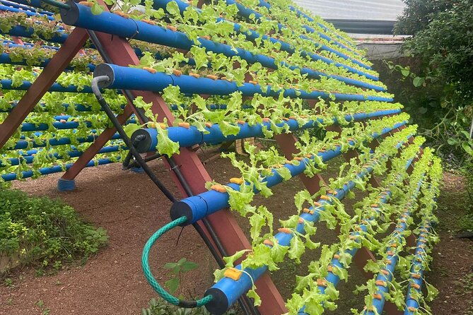 darwins-coffee-quest-experience