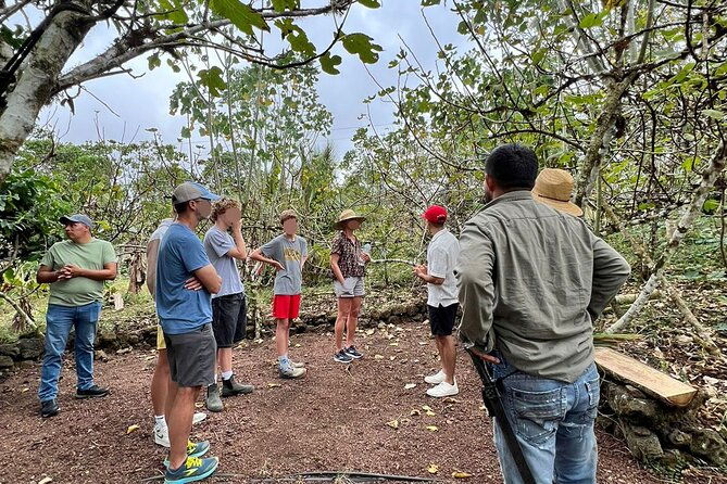 darwins-coffee-quest-experience