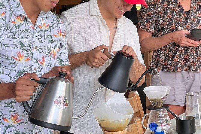 darwins-coffee-quest-experience