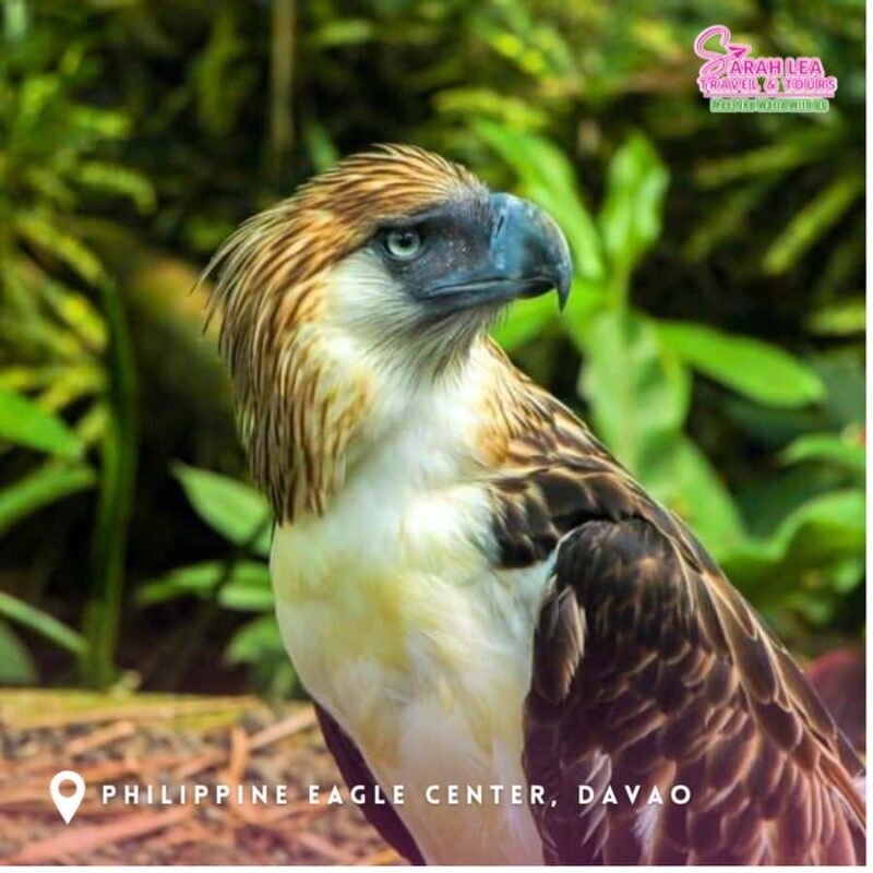 Davao City: Guided Tour with Transfers and Entry Fees - Who Should Consider This Tour?