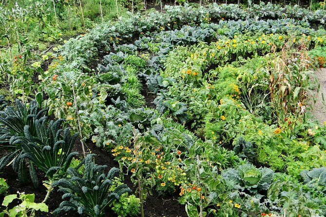 Davao Eden Nature Park Tour with snacks (6hrs) - What the Experience Feels Like