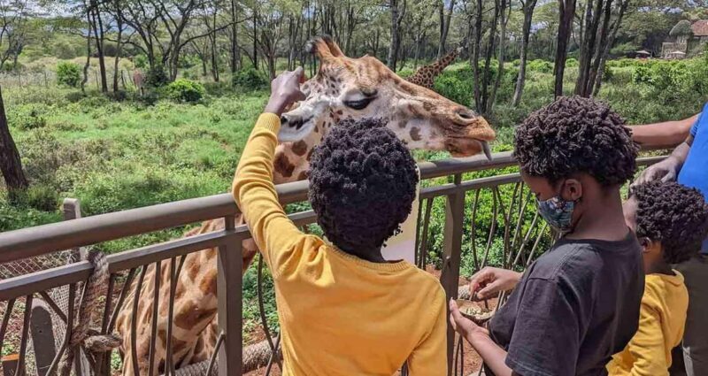 David Sheldrick wildlife Trust and Giraffe Center - In The Sum Up