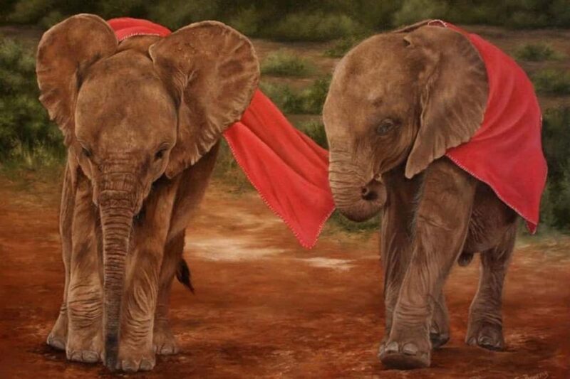 David Sheldrick Wildlife Trust & Giraffe Center - Final Thoughts