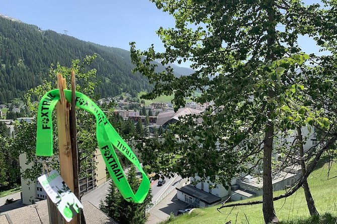 davos-foxtrail-cuolm-strinau