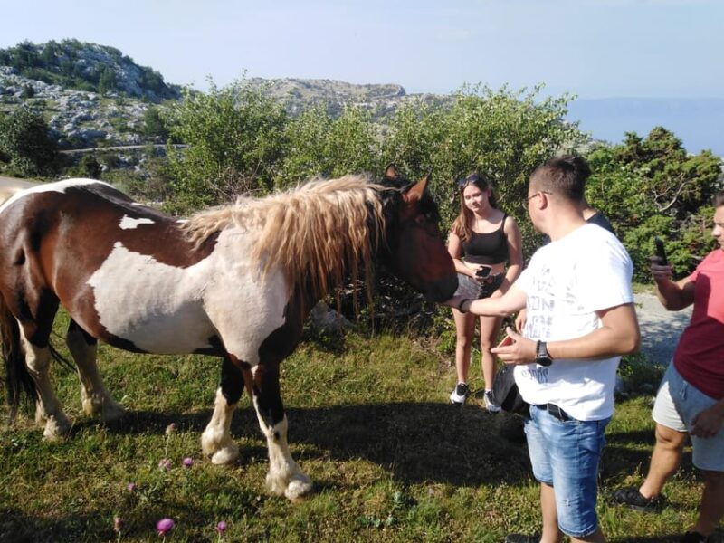 dawn-on-the-top-of-biokovo