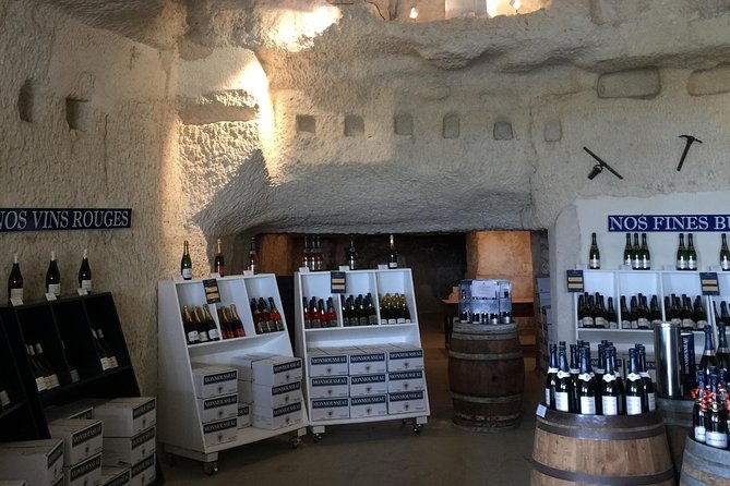 day-at-the-castles-of-chenonceau-and-chambord-from-blois