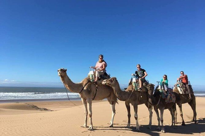 Day Camel Ride with Picnic on Essaouira's beach - Why You Should Consider This Tour