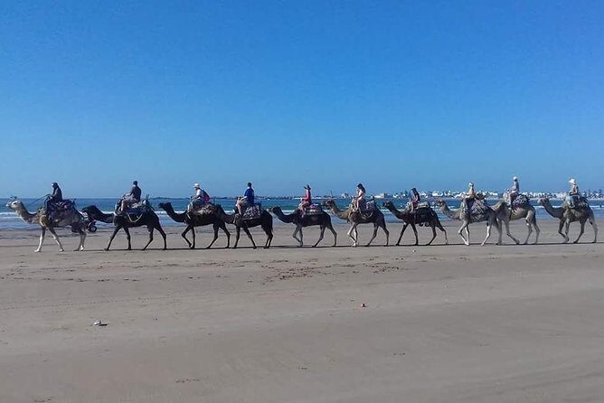 Day Camel Ride with Picnic on Essaouira's beach - FAQ