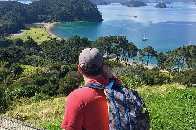 Day Cruise & Island Tour - Snorkel/Wildlife/Paddleboard/Islands - The Sum Up