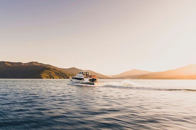 Day Cruise & Lunch at Punga Cove Resort - Who Should Consider This Tour?