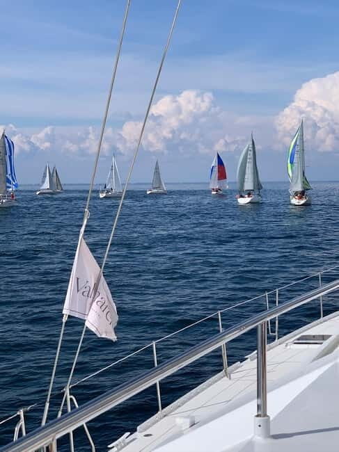 Day cruise on a maxi-catamaran in Quiberon Bay - An Introduction to Brittany’s Sea Adventure