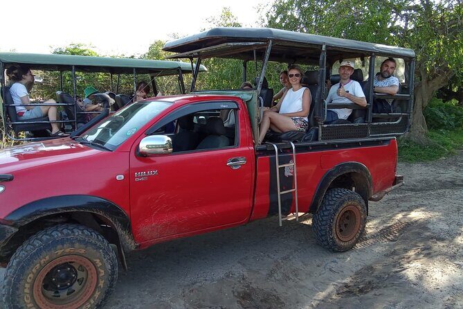 Day Excursion from Colomb to Yala Safari (Leopard Safari Tour) - An In-Depth Look at the Yala Leopard Safari Tour