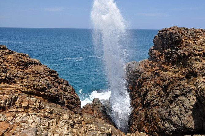 Day Excursion from Colomb to Yala Safari (Leopard Safari Tour) - Who Should Consider This Tour?