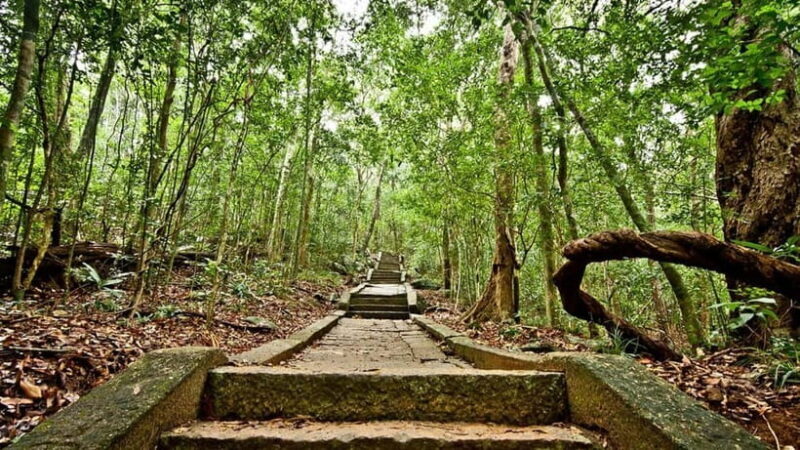Day Excursion Sigiriya, Dambulla & Ritigala Archaeological - Transportation and Practicalities