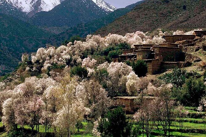 Day Excursion to Atlas Mountains from Marrakech - Key Points