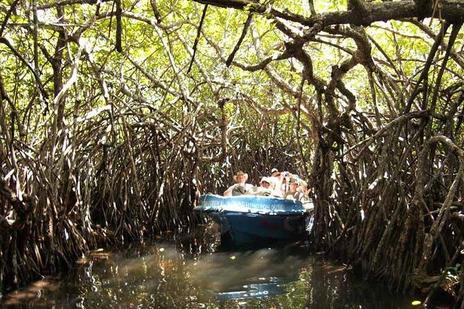 Day Excursion to Bentota from Colombo - Exploring the Itinerary in Detail